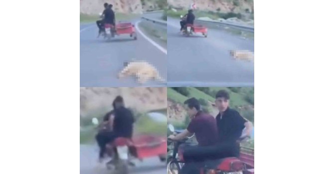 Telef olan köpeği sürükleyen şahsa 50 bin TL ceza