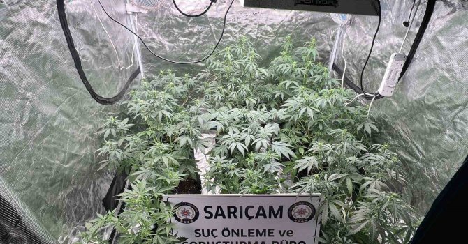 Apartman dairesine uyuşturucu serası kurmuşlar: 3 gözaltı