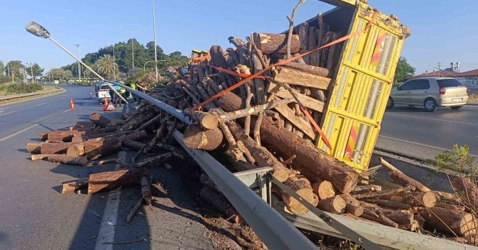 Tomruk yüklü kamyon bariyerleri aşıp refüje devrildi