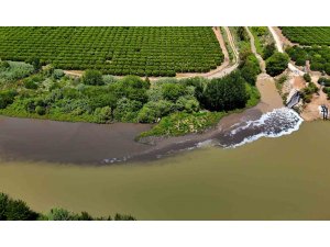 Ceyhan Nehri kirlilikten köpürdü