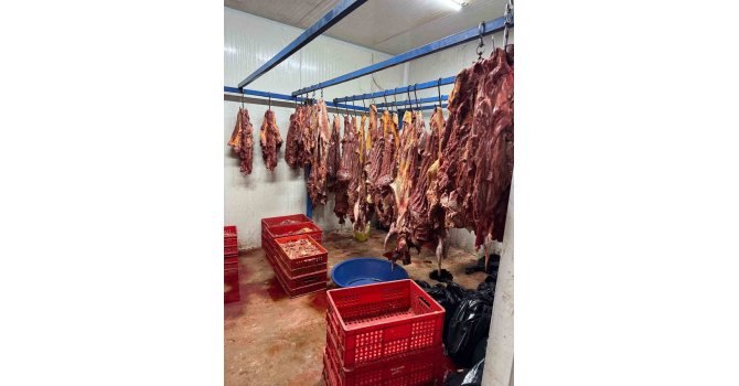 Adana’da 3 ton bozulmuş at eti ele geçirildi