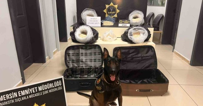 Polis tam 58 kilo 310 gram uyuşturucu hap ele geçirdi: 4 gözaltı