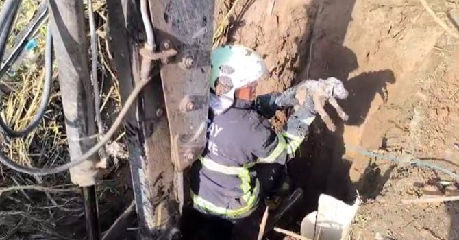 Kuyuda mahsur kalan yavru köpeğin imdadına itfaiye yetişti