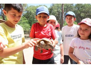 Kaplumbağaları inceleyip hem öğrendiler hem eğlendiler