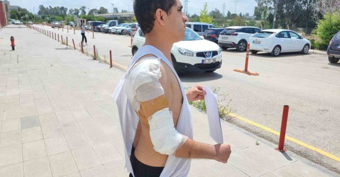 Hastaneye giderken kurt köpeğinin saldırısıyla yaralandı