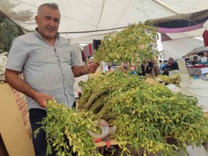 Yeşil nohut tezgahlarda yerini aldı