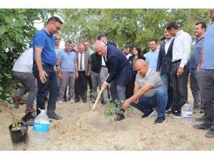 ALTSO keçiboynuzunun tescilini aldı, 3 bin fidan dağıttı