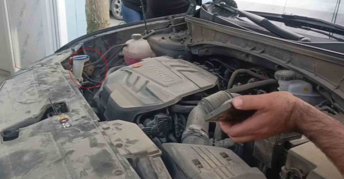 Aracın motoruna giren yavru kedi telefondan miyavlama sesi açılarak çıkartıldı