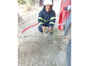 Alevlerin arasında kalan kaplumbağaya can suyu