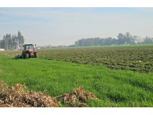 41 hektarlık ormanı tarım alanına dönüştürmeye çalıştılar, zamanında müdahale engel oldu