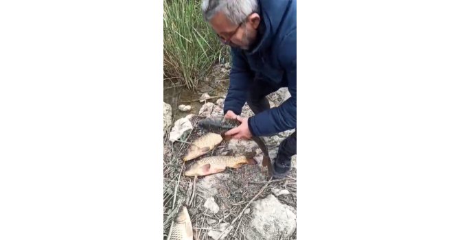 Kovada Gölü’nde kaçak avcılara 176 bin TL ceza uygulandı, ekipmanlara el konuldu