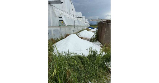 Serik’te sağanak ve dolu tarım arazilerine zarar verdi