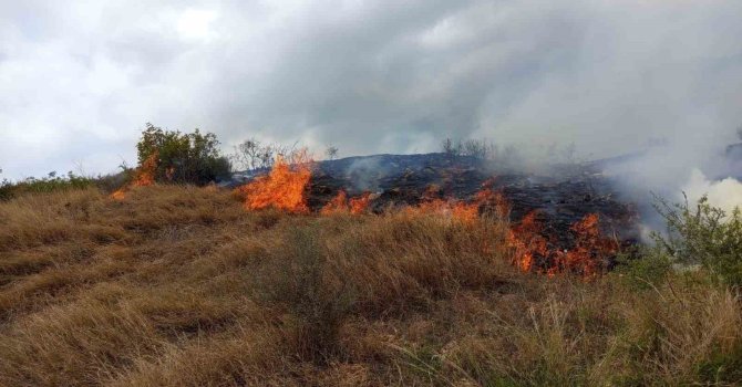Otluk alanda çıkan yangın ormana sıçramadan söndürüldü