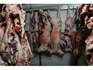 At ve eşek eti haberleri Adanalıları rahatsız etti