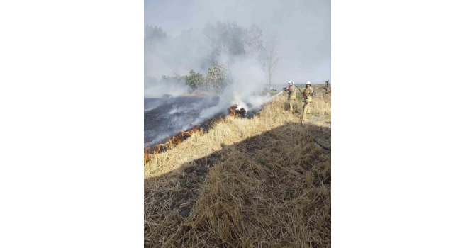 Antakya’da saman balyaları yandı