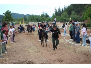 Motokros yarışında motosikletle birinci, diğer yarışmada eşekle sonuncu oldu