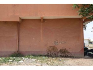 Duvara toslayan at telef oldu