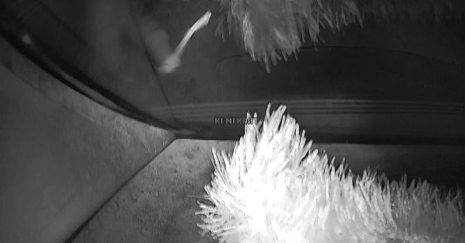 Adana’da minibüs hattı gerginliği