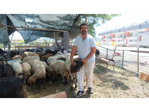 Kemer Belediyesi’nde kurban satış alanlarında denetim