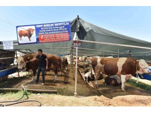 Kepez’de 9 noktada kurban kesim alanı