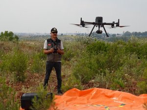 Adana’da ormanlar uçan gözle denetime alındı