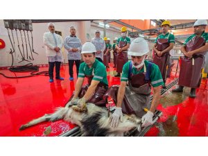 Mersin’de şehitlerin anısına kurban kesildi