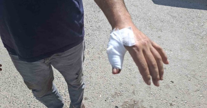 Kahramanmaraş’ta acemi kasaplar hastaneye koştu