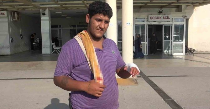 Adana’da 194 acemi kasap hastanelik oldu