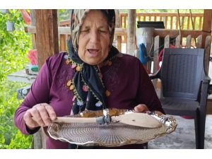 Parmak büyüklüğünde geyik böceği görüldü: Cezası 557 bin TL