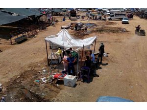 Kurbanlık fiyatları yüzde 40 düştü