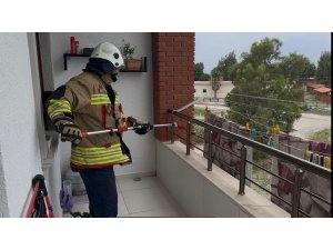 Arsuz’da evin balkonunda yılan paniği