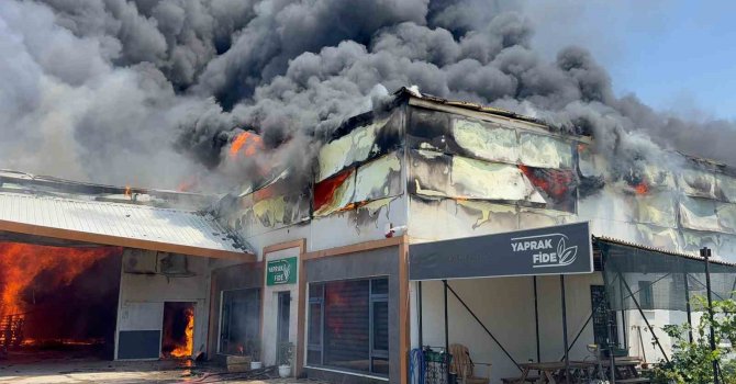 Fide üretim merkezinde yangın