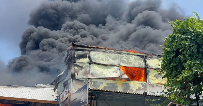 Fide üretim merkezi alev alev yandı çalışanlar gözyaşlarına boğuldu