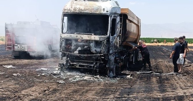 Anız yangını milyonluk tırı kül etti