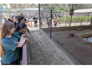 Mersin’deki ‘Minikbüs Projesi’ çocuklara gezi ve öğrenme yolculuğu sunuyor