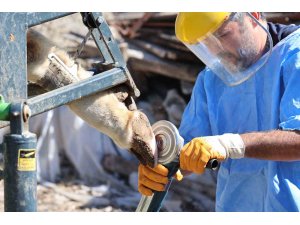 Büyükşehir’den tarım ve hayvancılığa can suyu