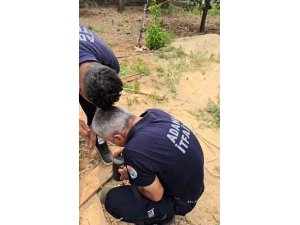 Su borusuna düşen yavru kedi kurtarıldı