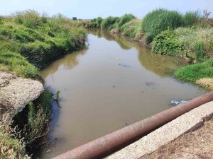 Dere yatağına kanalizasyon akıyor