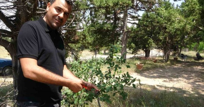 Ölmeden ölüm ilanı verildi, duyunca şok oldu