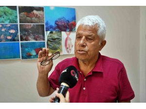 Köpek balıklarına yapılan "gösteri işkencesine" uzman uyarısı: "Ekosistemi bozuyor, korku yayıyor "