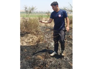 Alevler içinde kalan yavru serçeye, itfaiyeden can suyu