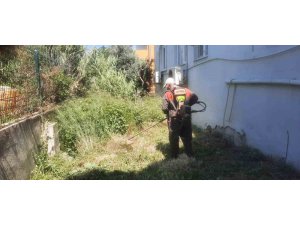 Antakya Belediyesi’nden parklar ve yeşil alanlarda titiz çalışma