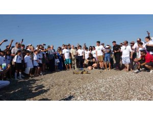 Antalya’da deniz kaplumbağaları çip takılarak denize uğurlandı