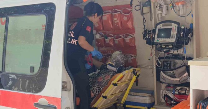 Yaya geçidinde kamyonetin çarptığı yaşlı kadın yaralandı