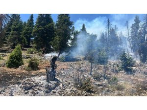 Mersin’de orman yangını, ekipler  müdahaleye başladı