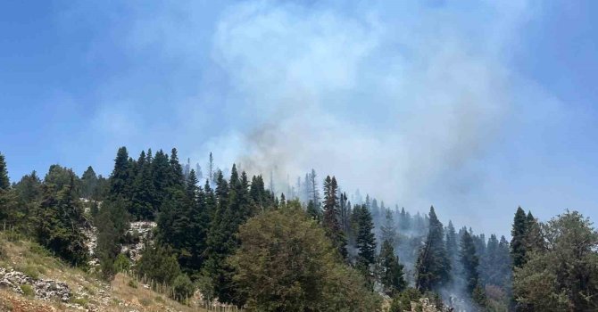 Mersin’deki orman yangını söndürüldü