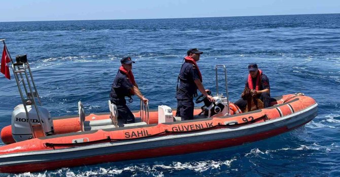 Alanya Kalesi’nde kayalık bölgede mahsur kalan dağ keçisi kurtarıldı