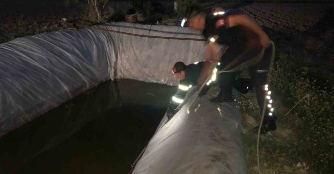 Su kuyusuna düşen sokak köpeği itfaiye ekiplerince kurtarıldı