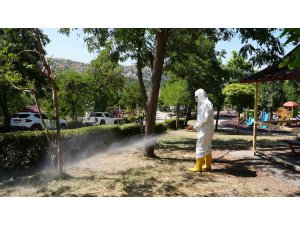 Kahramanmaraş kene tehdidine karşı ekipler sahada