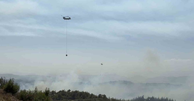 Adana’da orman yangını kontrol altında: 6 gözaltı